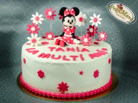 Tort Minnie Mickey mouse